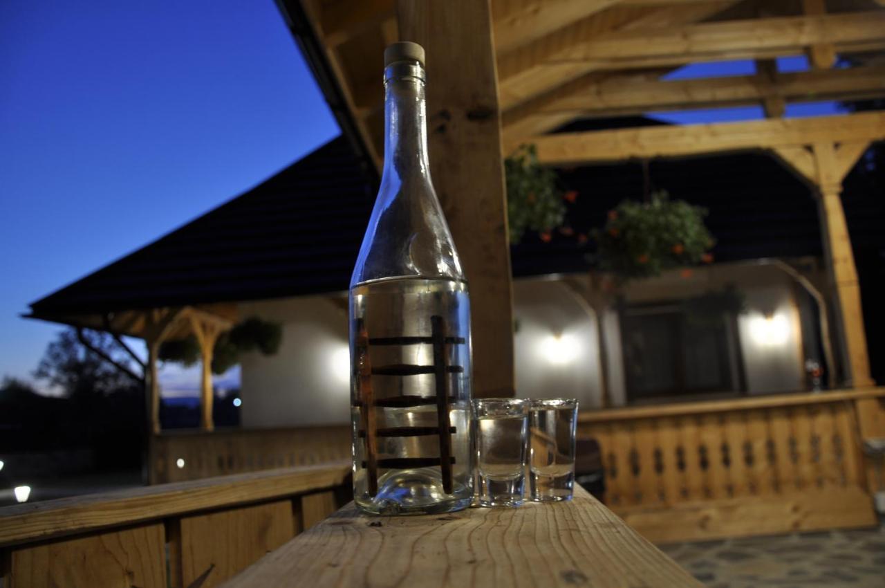 Hotel Casa Morosanului Vişeu de Sus Exteriér fotografie