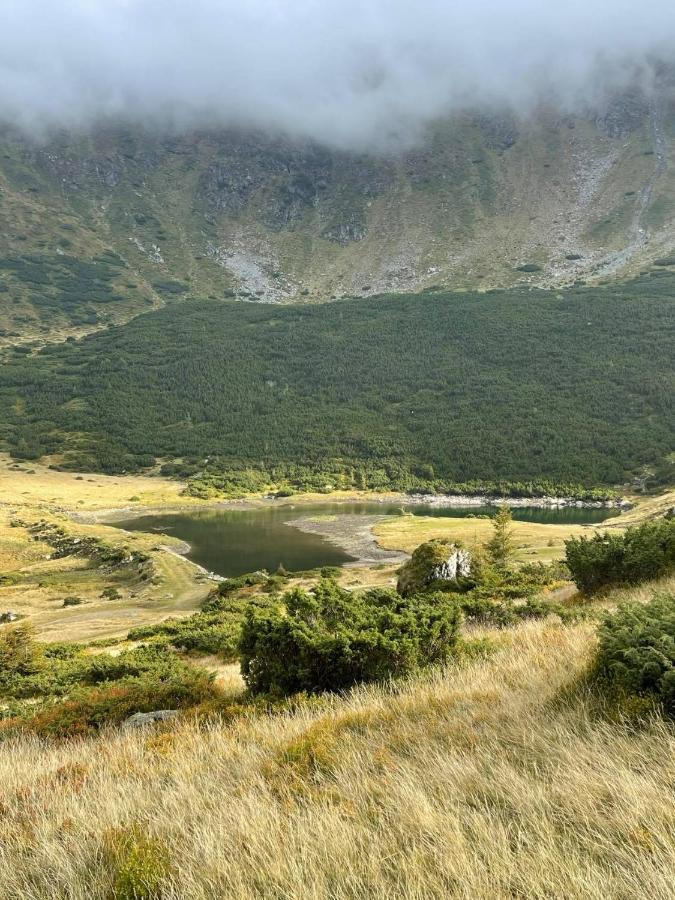Hotel Casa Morosanului Vişeu de Sus Exteriér fotografie