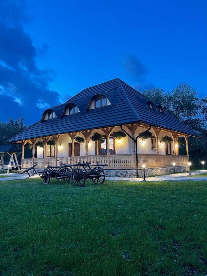Hotel Casa Morosanului Vişeu de Sus Exteriér fotografie