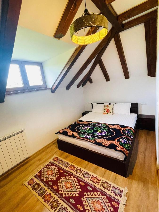 Hotel Casa Morosanului Vişeu de Sus Exteriér fotografie